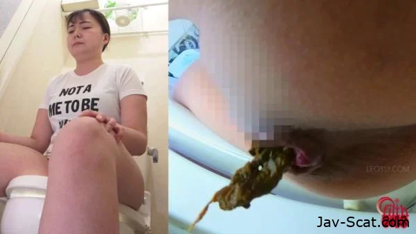 FF-684 Farts and Poops Part 4 (FullHD 1080p)